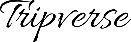 BlogBee